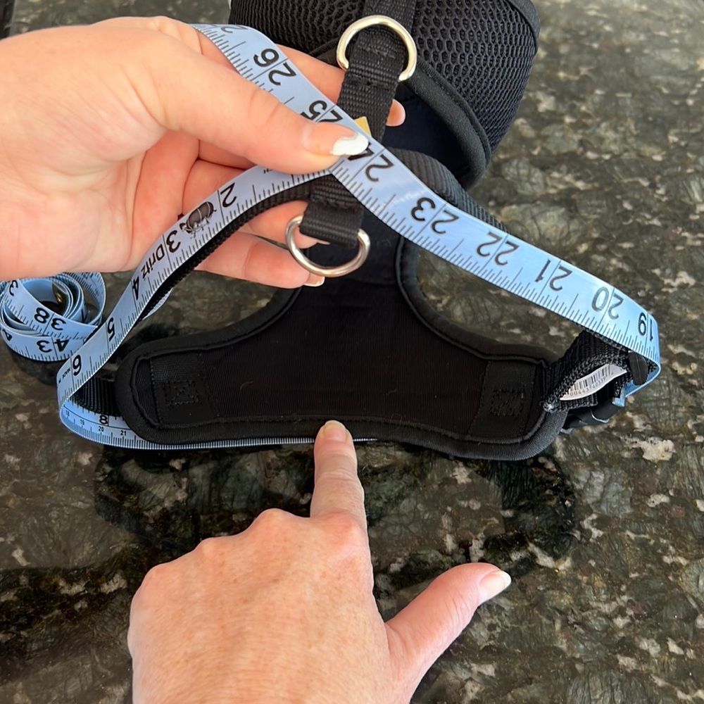 Small dog harness